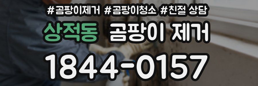 상적동 곰팡이 제거