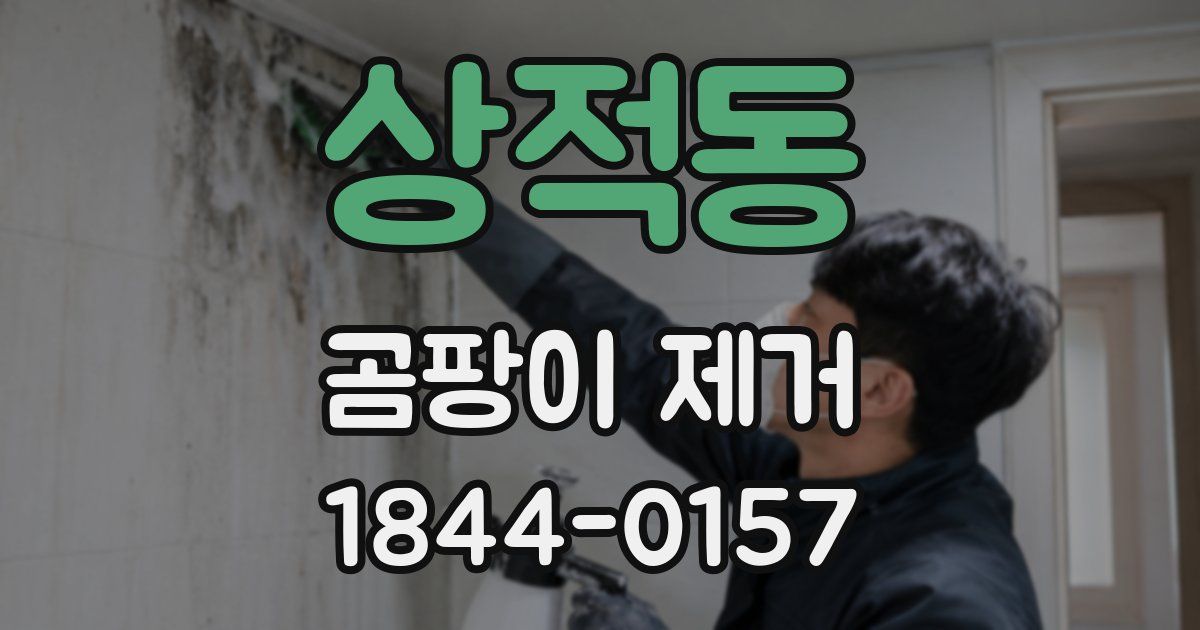 상적동 곰팡이 제거