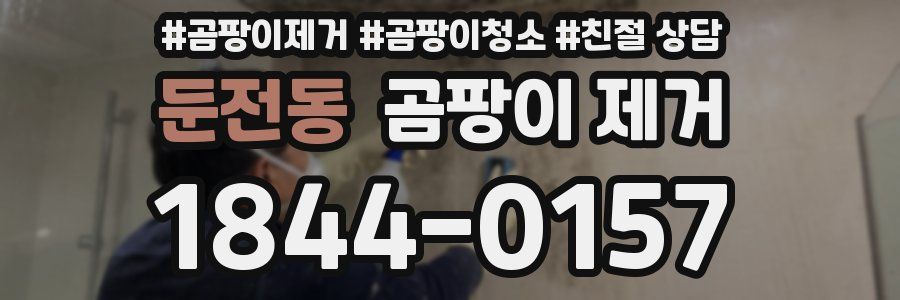둔전동 곰팡이 제거