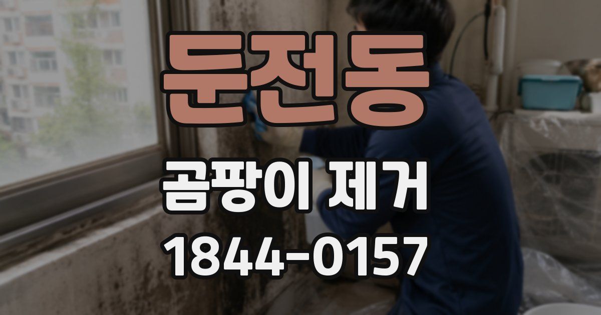 둔전동 곰팡이 제거