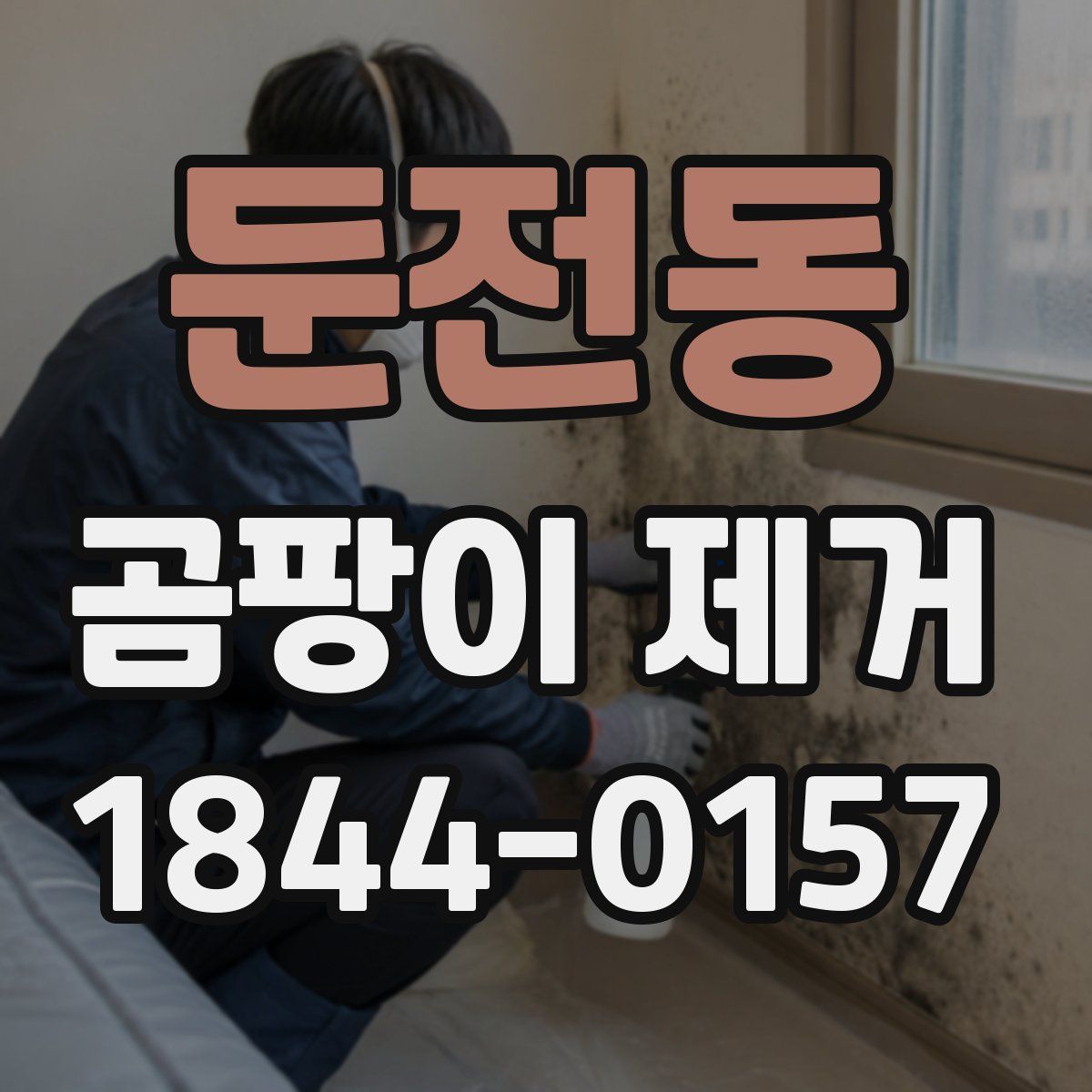 둔전동 곰팡이 제거