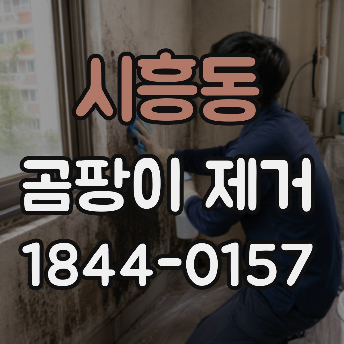 시흥동 곰팡이 제거
