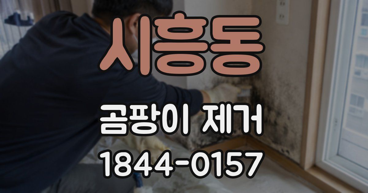 시흥동 곰팡이 제거