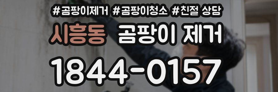 시흥동 곰팡이 제거