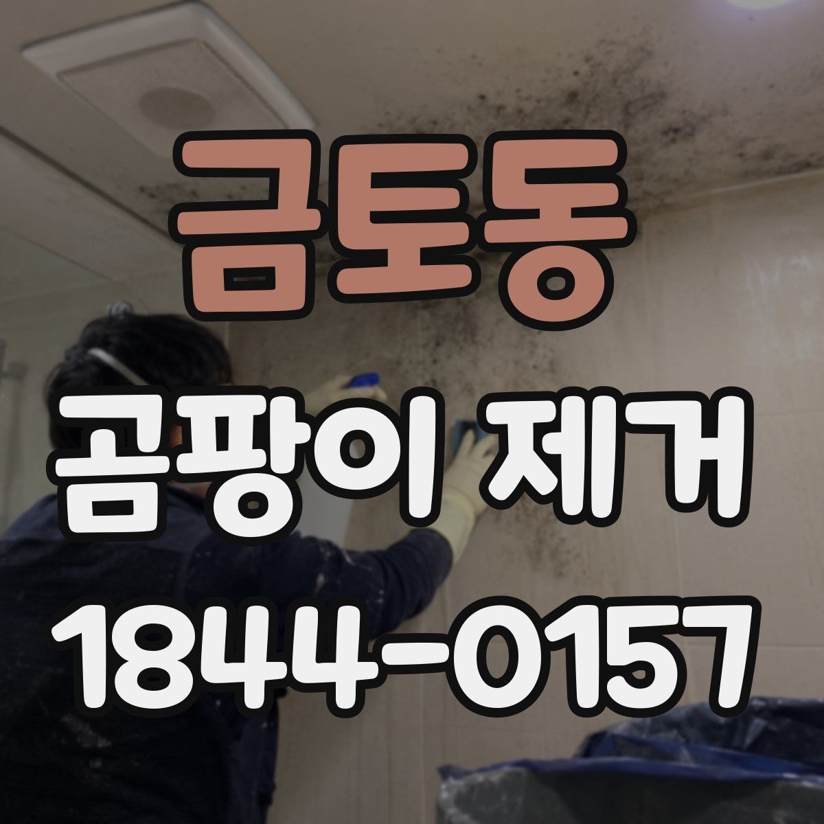 금토동 곰팡이 제거 후 마감재 선택 시 고려할 점