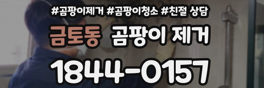 금토동 곰팡이 제거