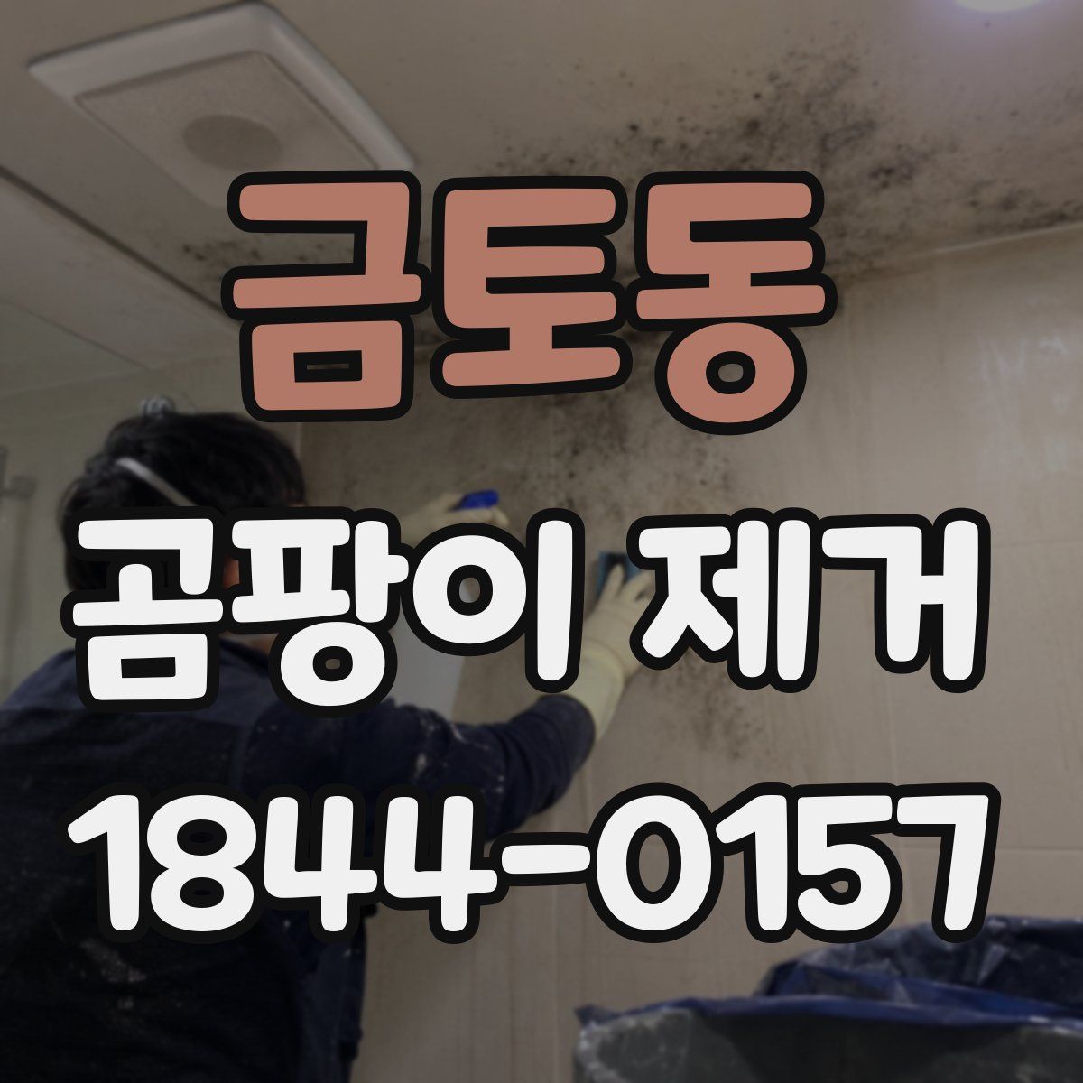 금토동 곰팡이 제거
