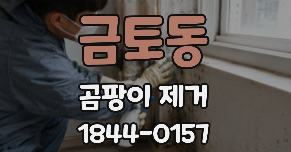 금토동 곰팡이 제거