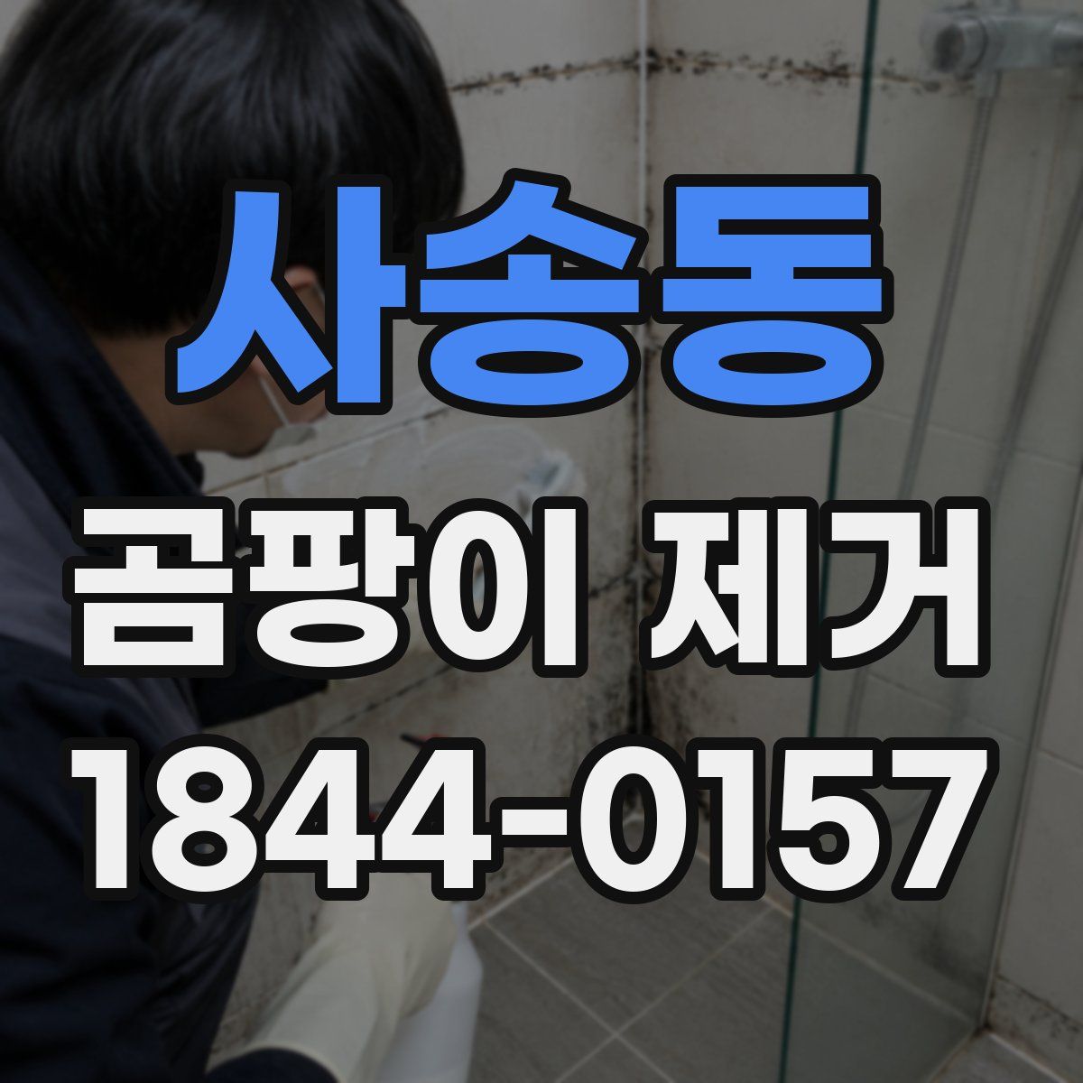 사송동 곰팡이 제거