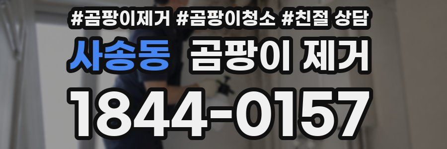 사송동 곰팡이 제거