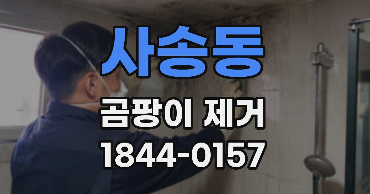 사송동 곰팡이 제거