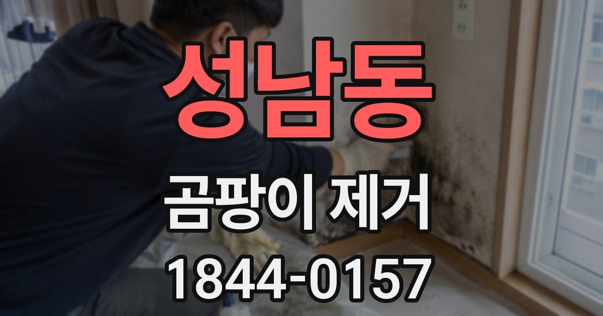 성남동 곰팡이 제거