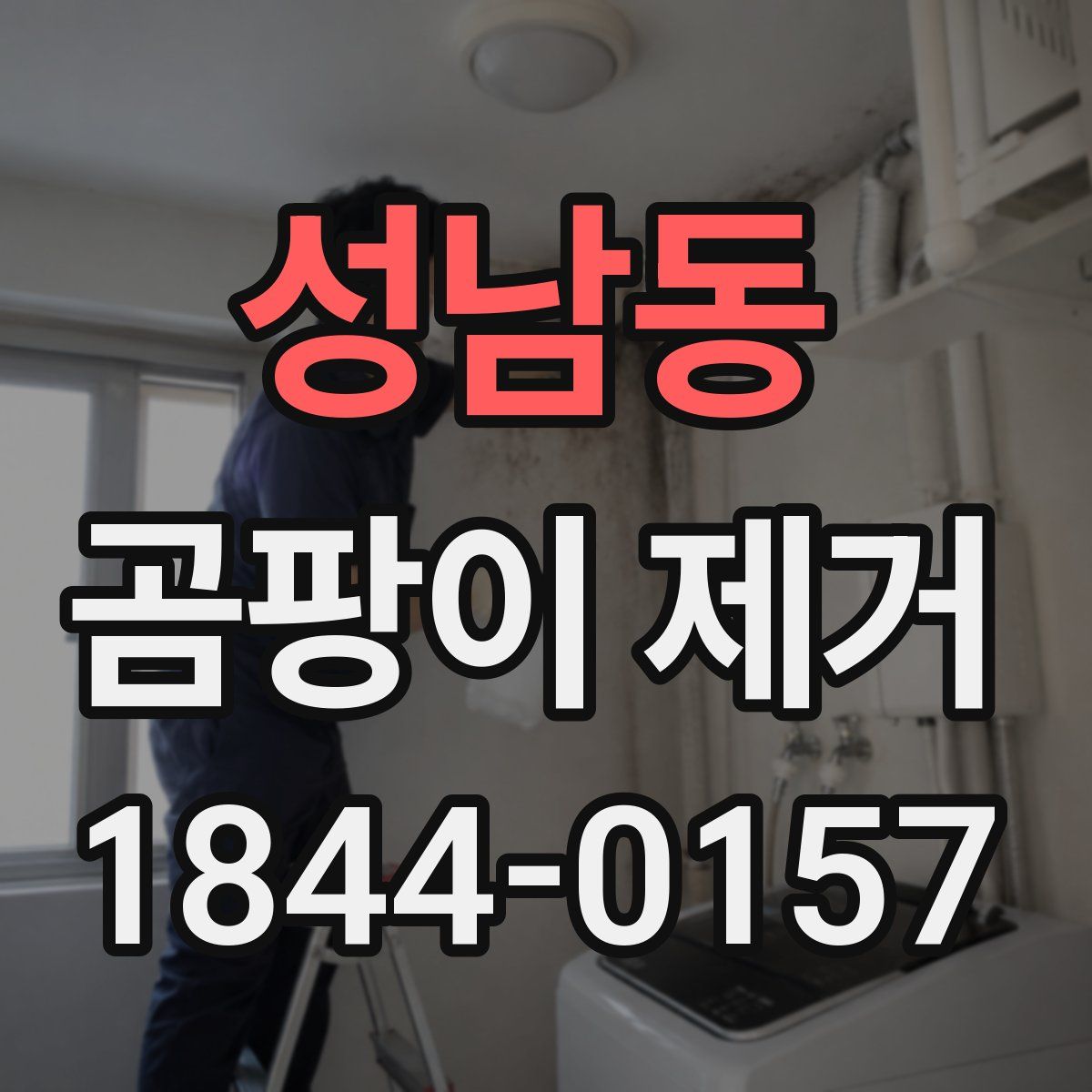 성남동 곰팡이 제거