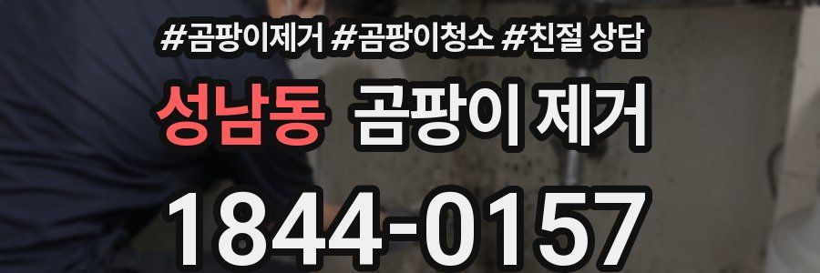 성남동 곰팡이 제거