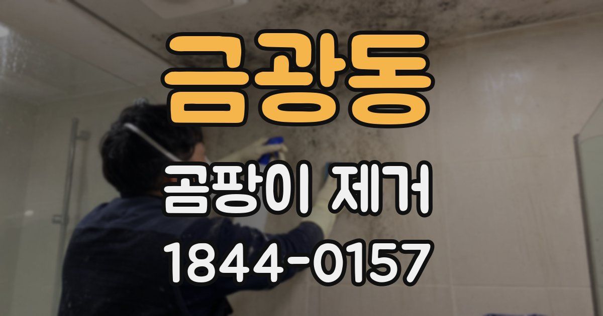 금광동 곰팡이 제거
