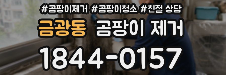 금광동 곰팡이 제거