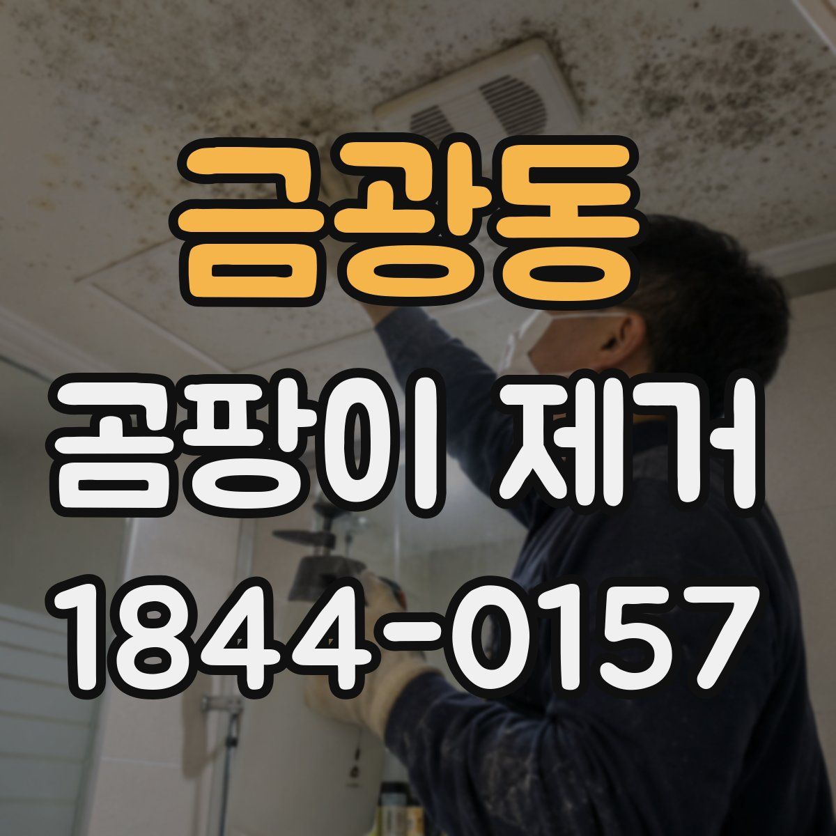 금광동 곰팡이 제거