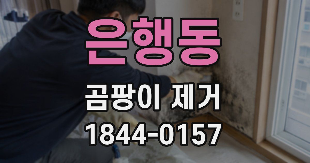 은행동 곰팡이 제거