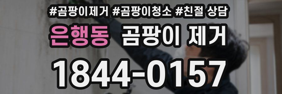 은행동 곰팡이 제거