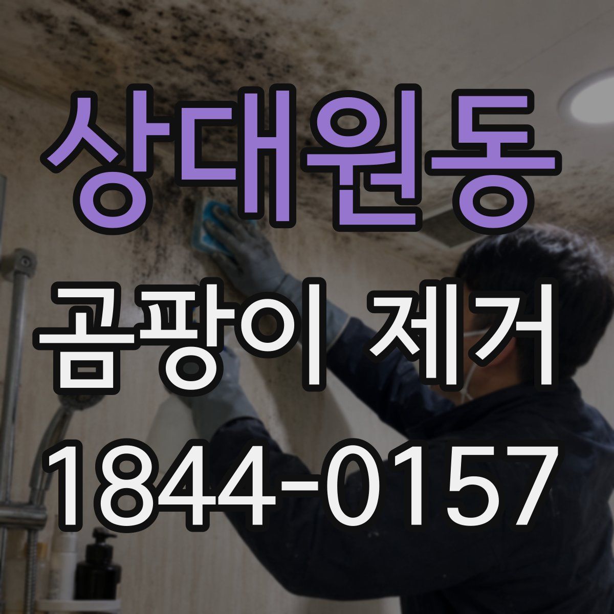 상대원동 곰팡이 제거