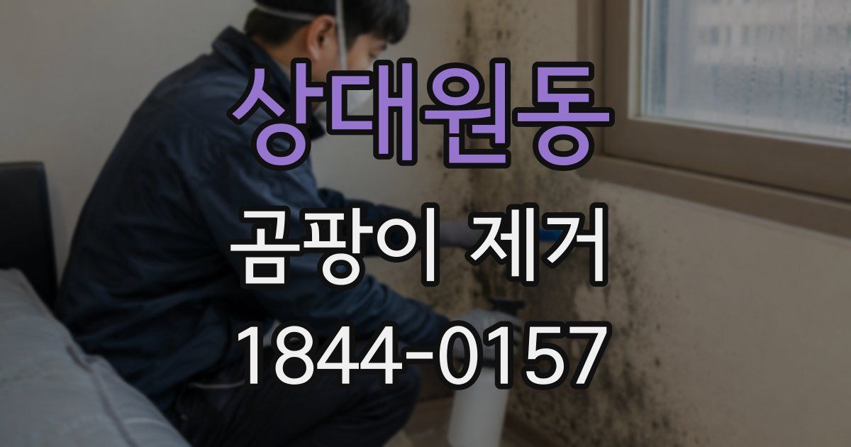 상대원동 곰팡이 제거