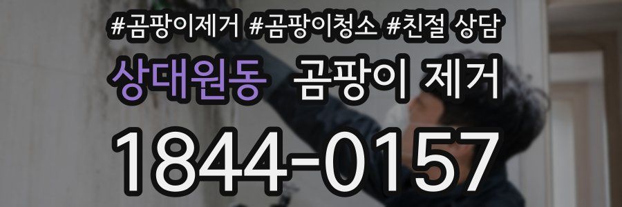 상대원동 곰팡이 제거