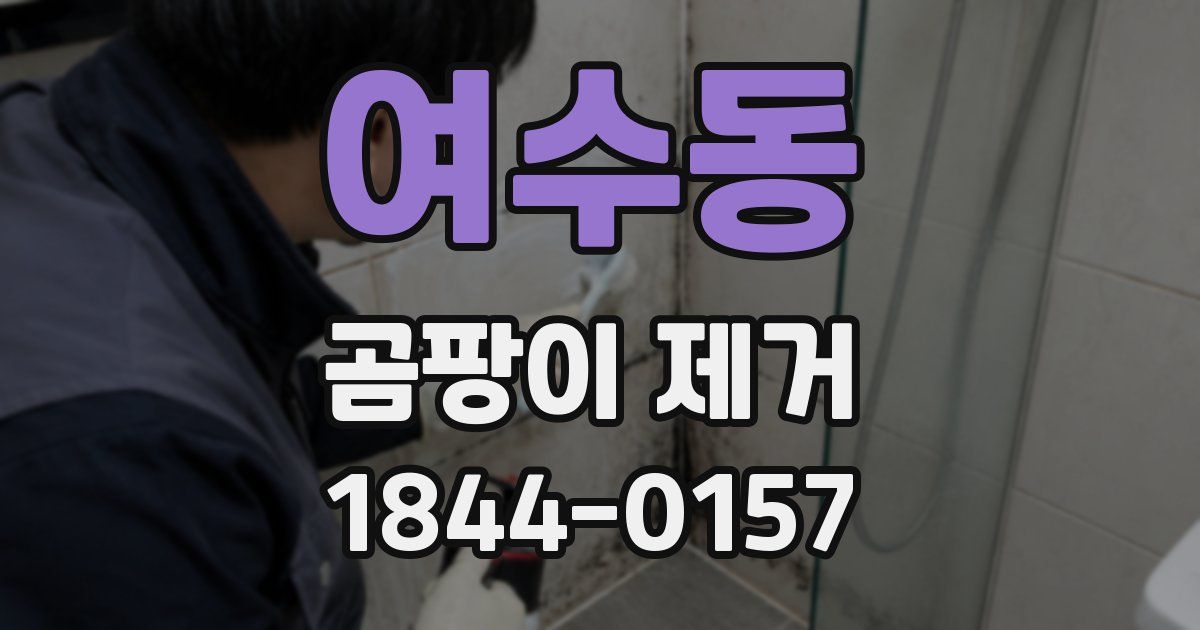 여수동 곰팡이 제거