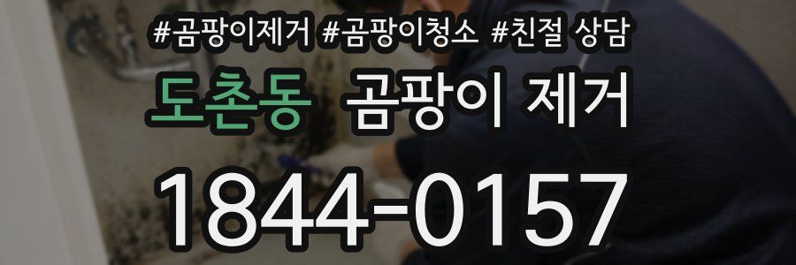 도촌동 곰팡이 제거