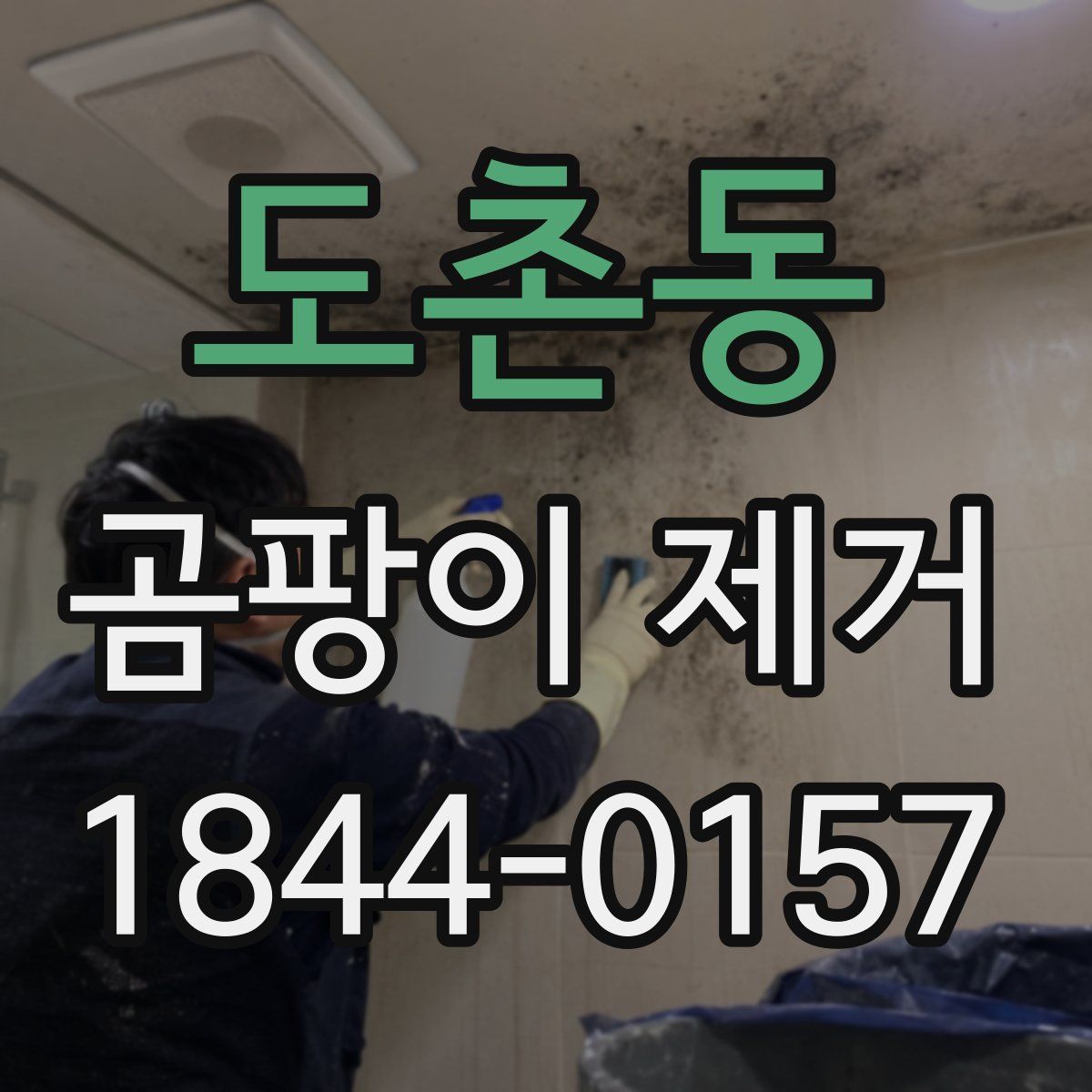 도촌동 곰팡이 제거