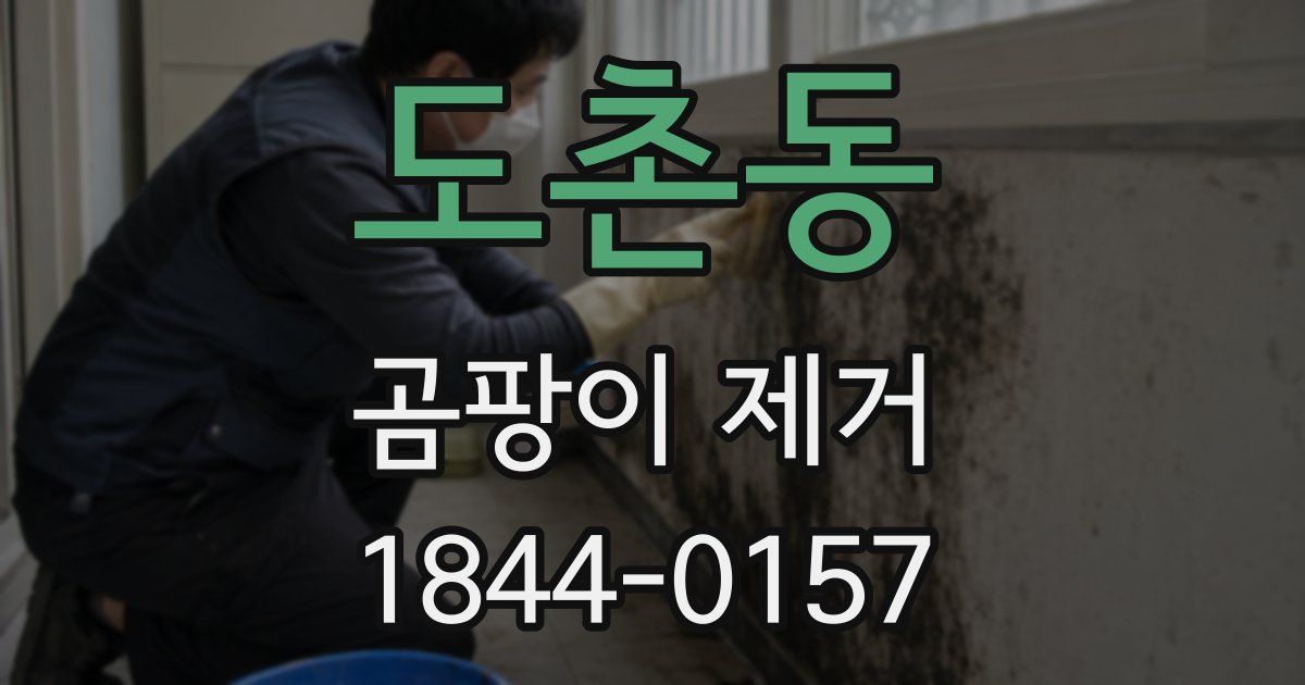 도촌동 곰팡이 제거