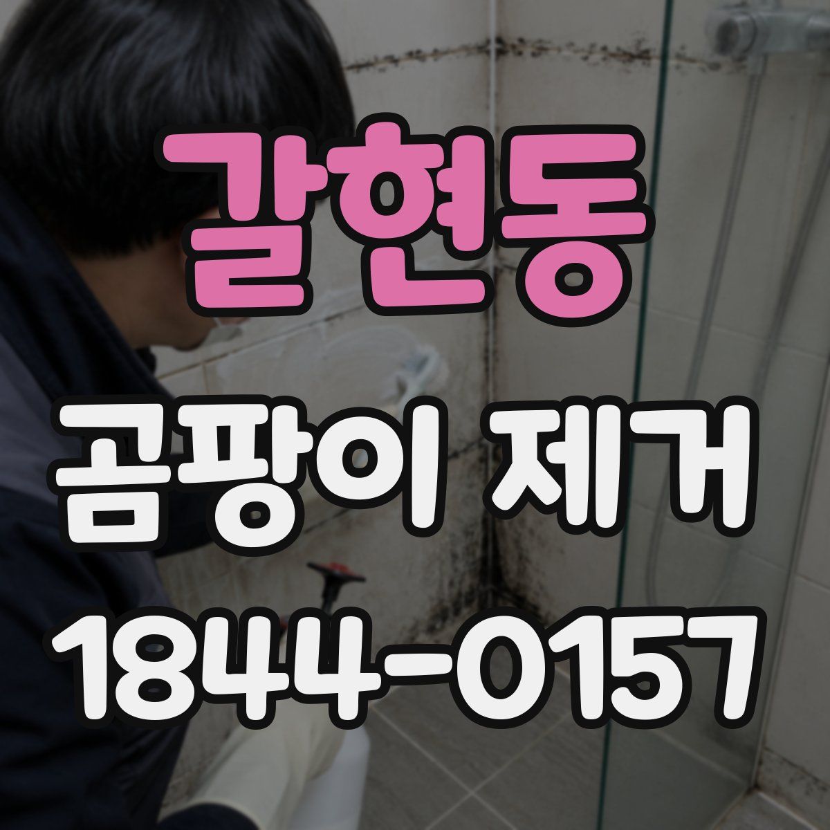 갈현동 곰팡이 제거