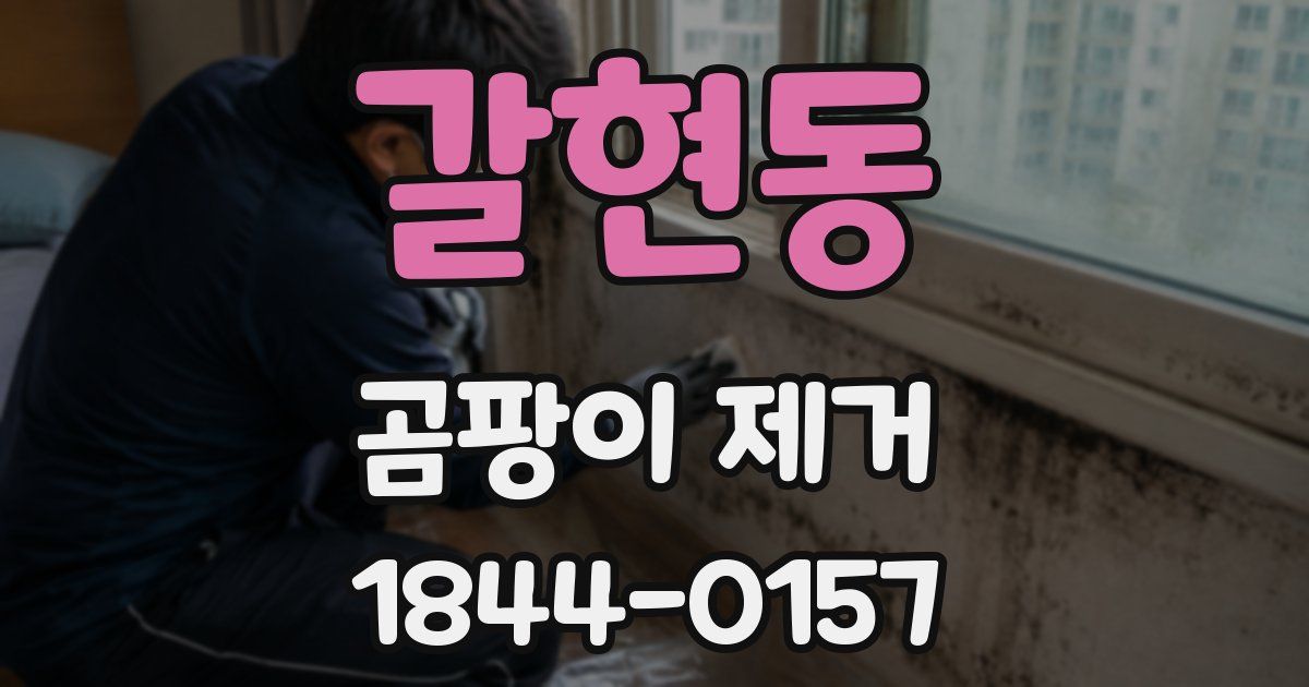 갈현동 곰팡이 제거