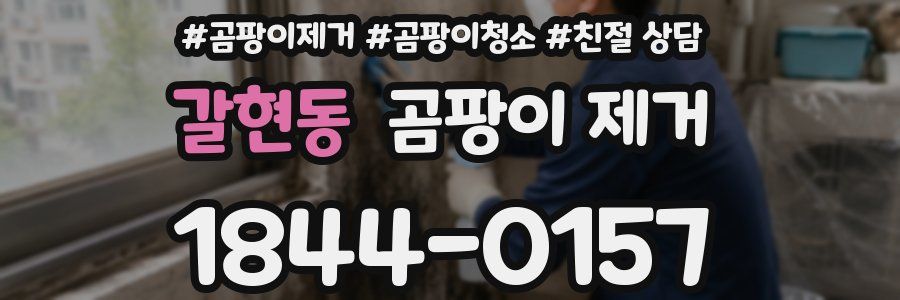 갈현동 곰팡이 제거