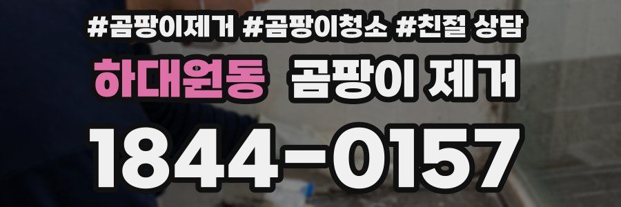 하대원동 곰팡이 제거