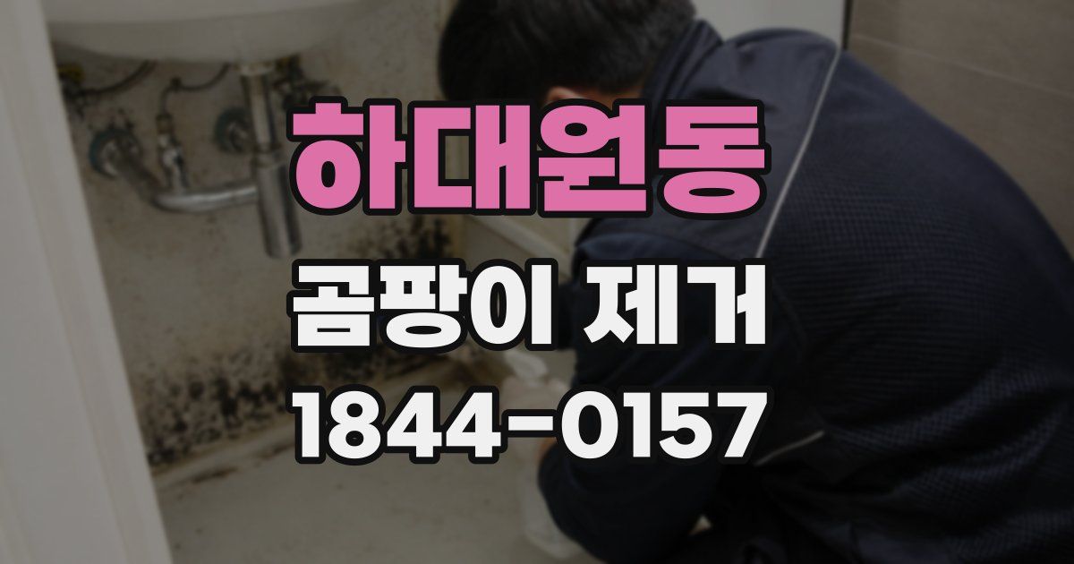 하대원동 곰팡이 제거