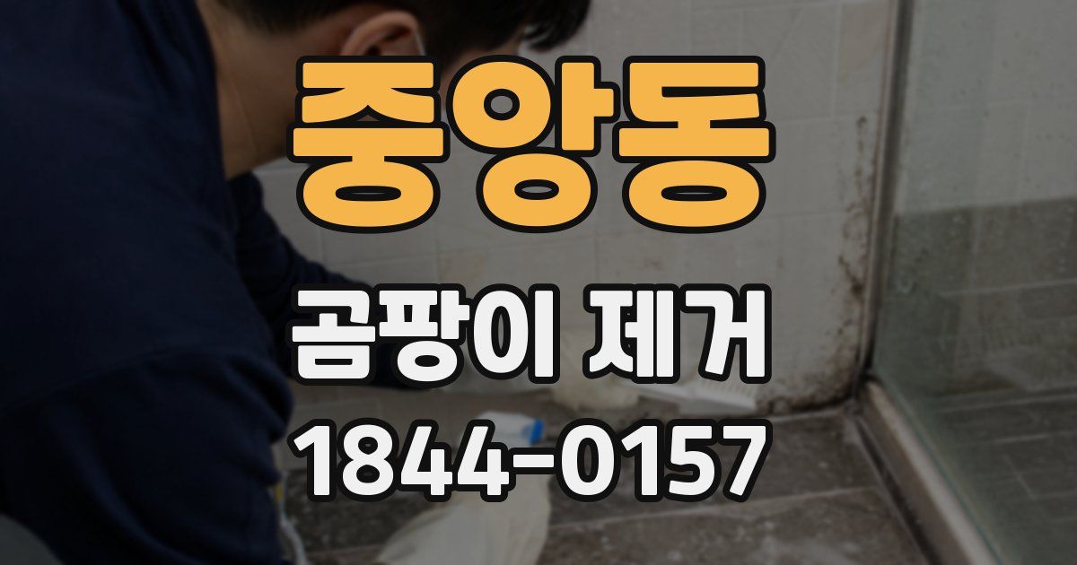 중앙동 곰팡이 제거