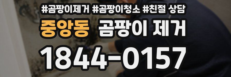 중앙동 곰팡이 제거