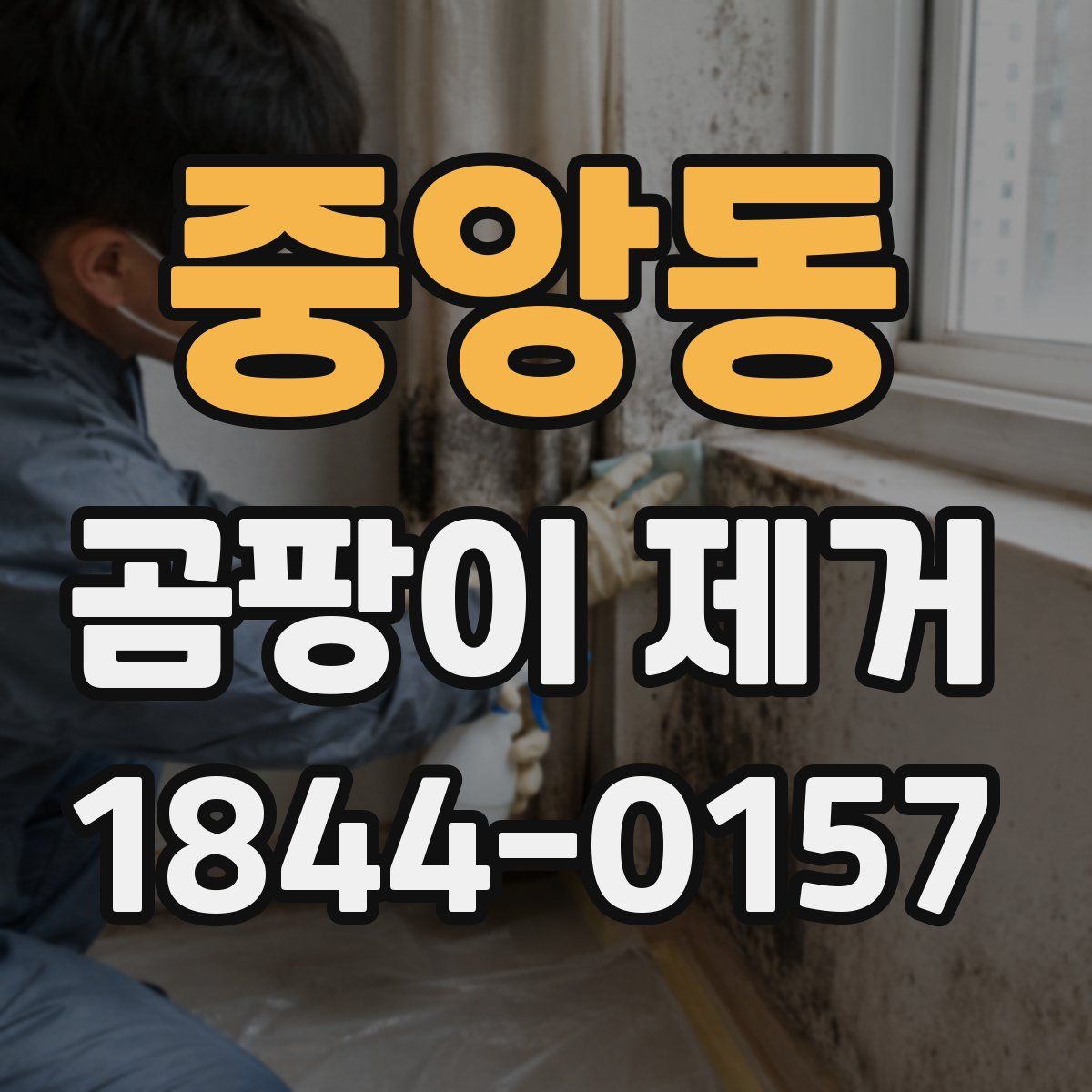중앙동 곰팡이 제거