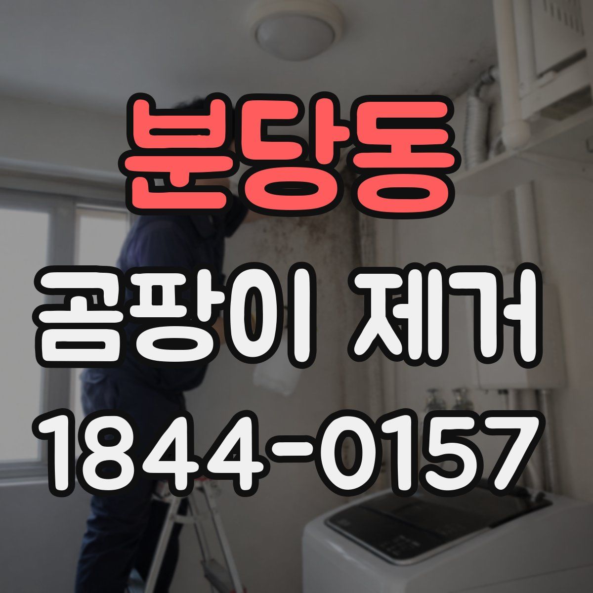 분당동 곰팡이 제거
