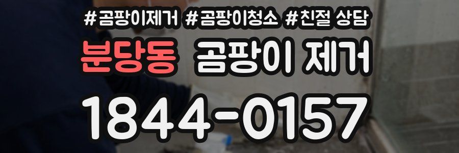 분당동 곰팡이 제거