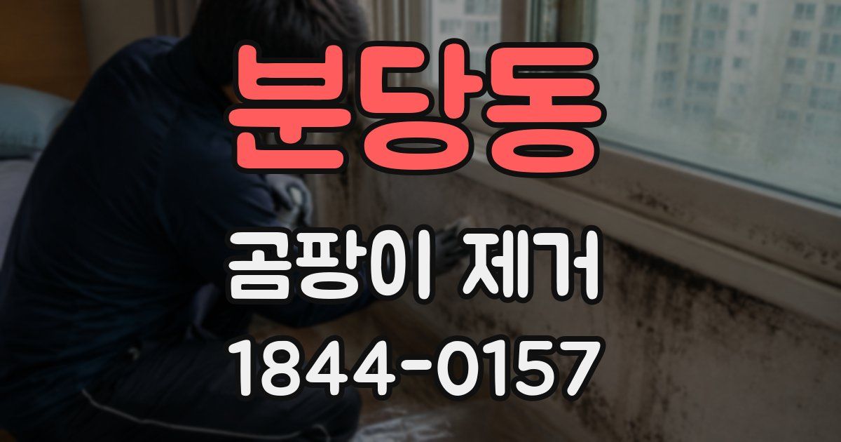분당동 곰팡이 제거