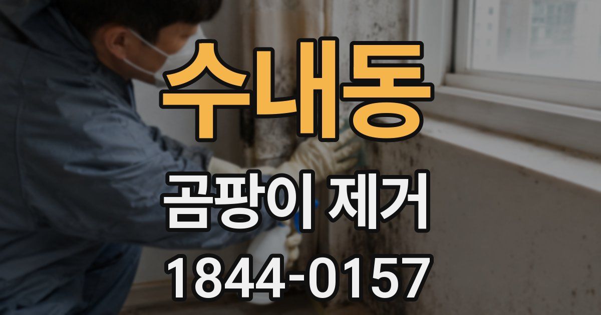 수내동 곰팡이 제거