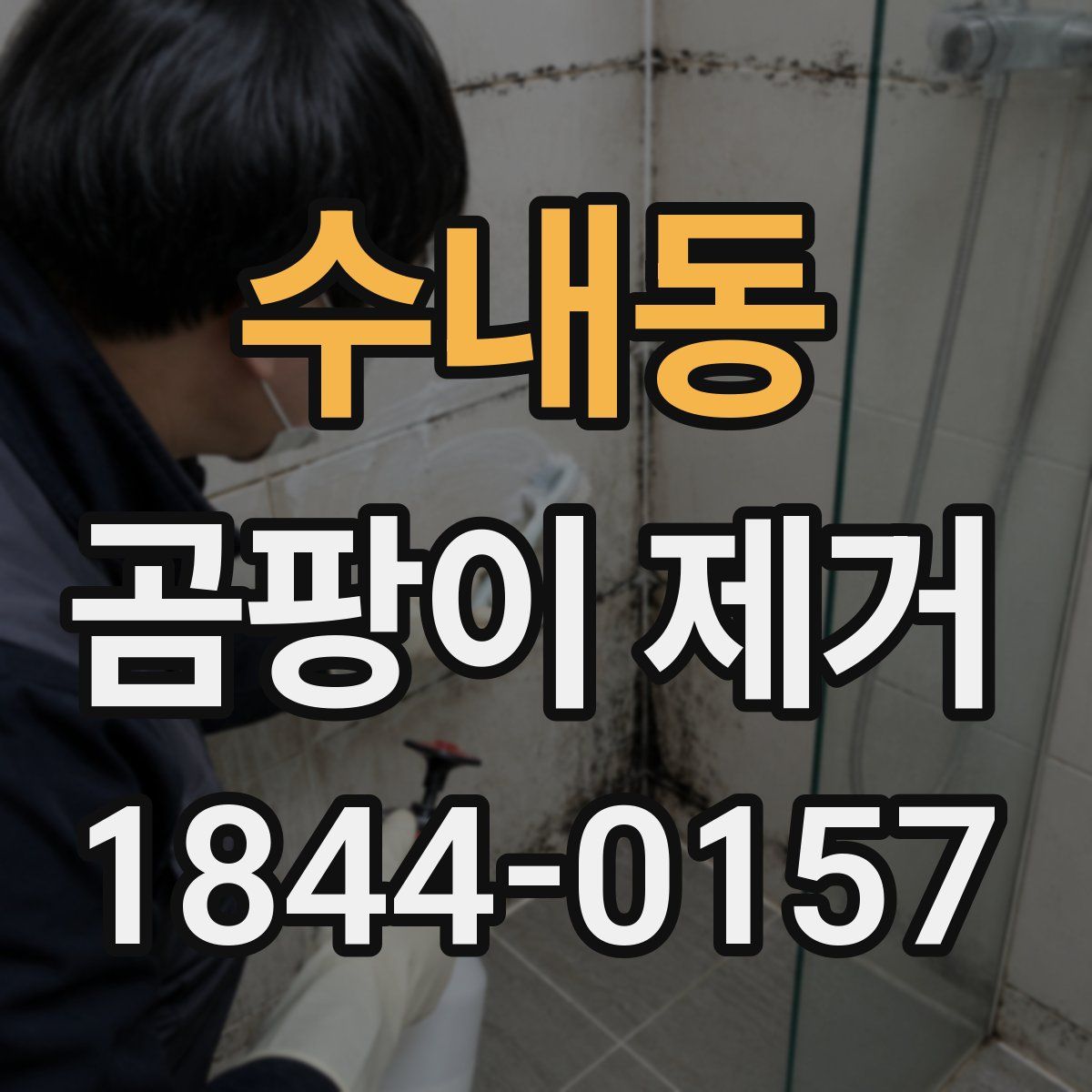 수내동 곰팡이 제거