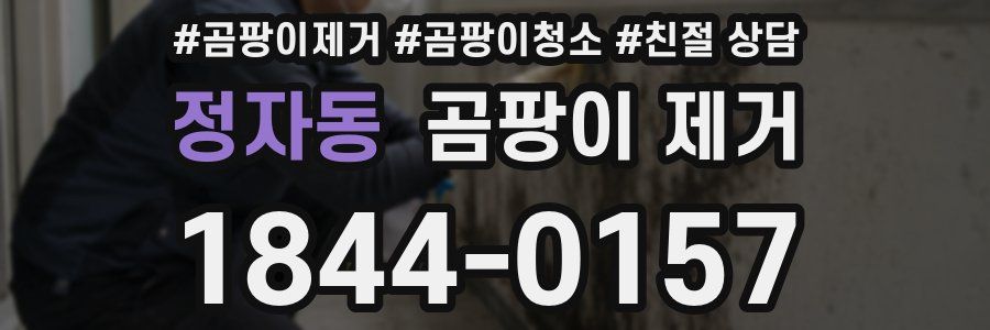 정자동 곰팡이 제거
