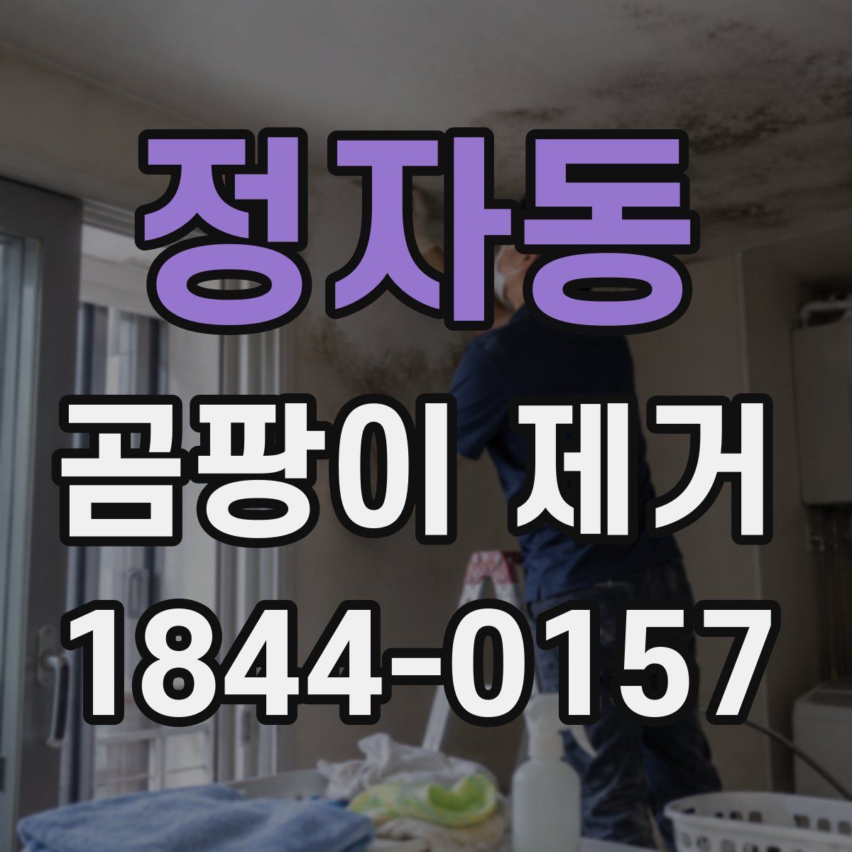 정자동 곰팡이 제거