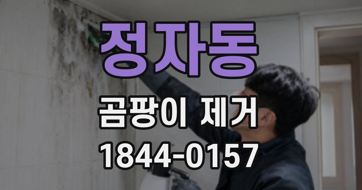 정자동 곰팡이 제거
