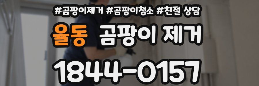 율동 곰팡이 제거