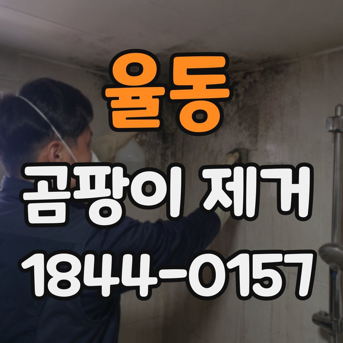 율동 곰팡이 제거