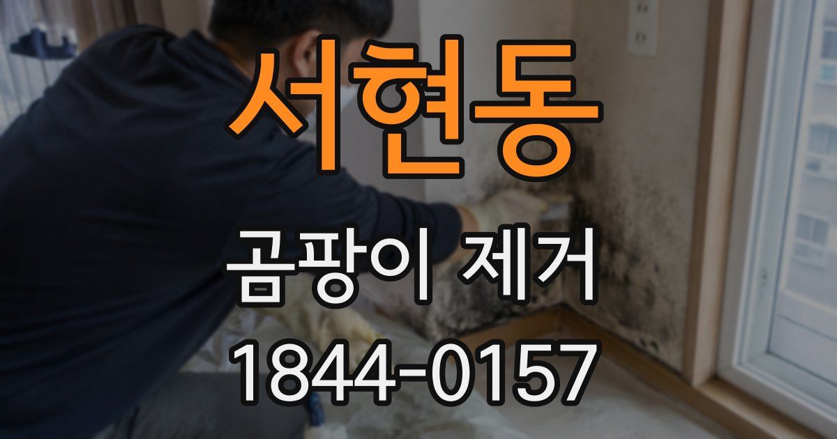 서현동 곰팡이 제거
