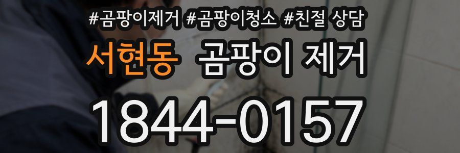 서현동 곰팡이 제거